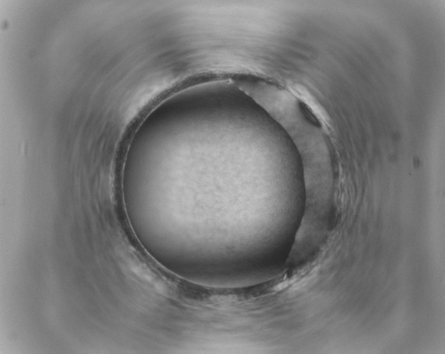 X0000087390391200705042016