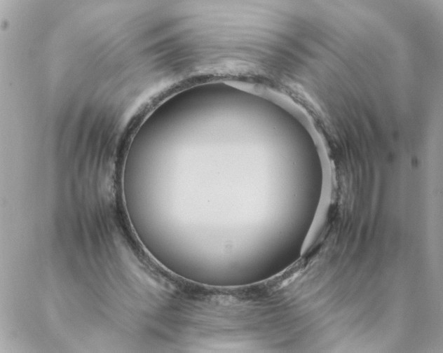 X0000087390392200705042016