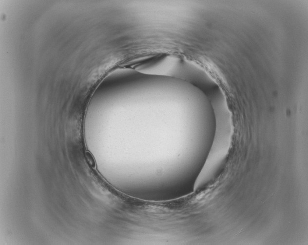 X0000087390393200705042016