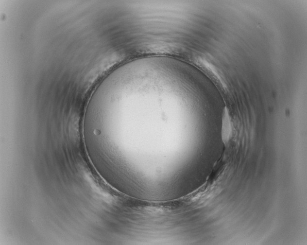 X0000087390394200705042016