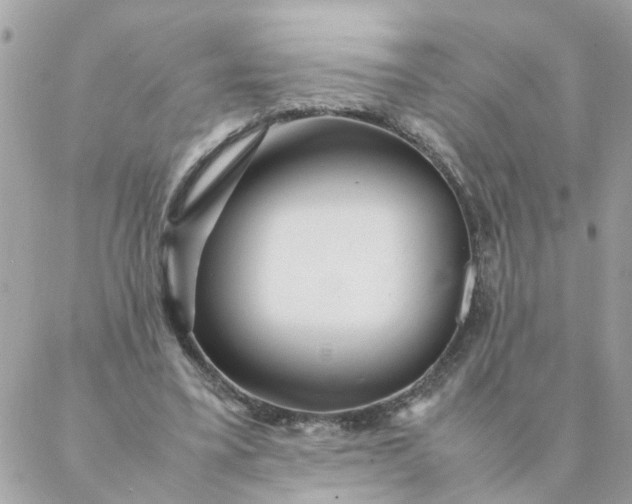 X0000087390395200705042015