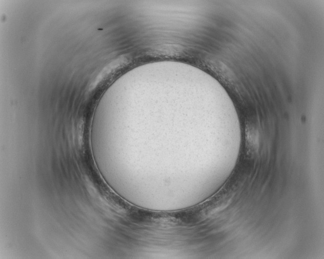 X0000087390396200705042015