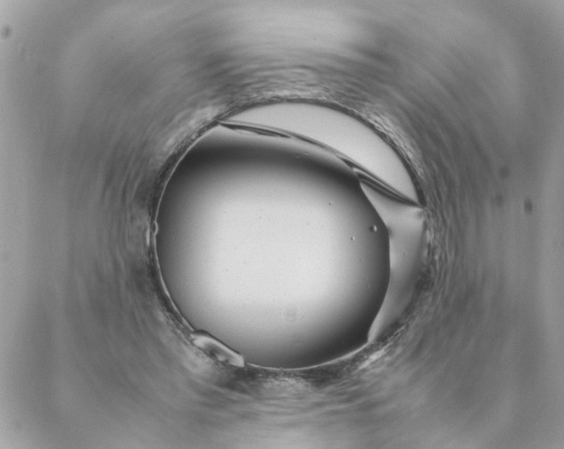 X0000087390397200705042015