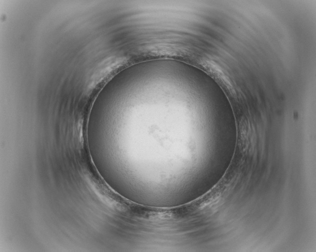 X0000087390398200705042015