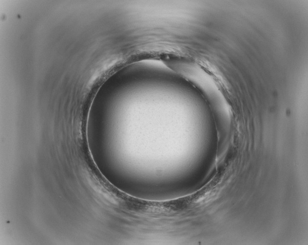 X0000087390399200705042015