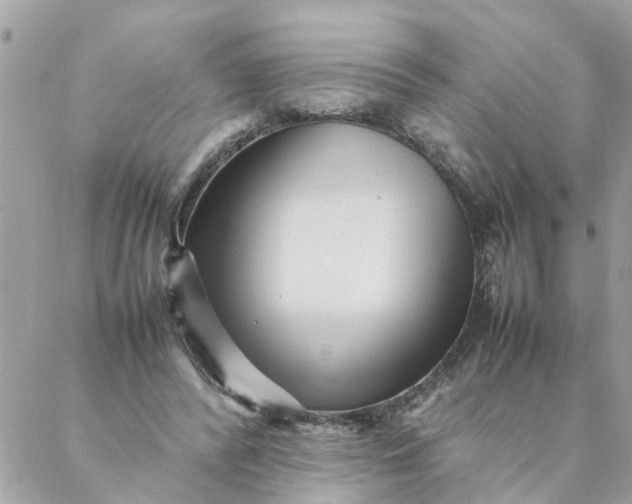 X0000087390400200705042015