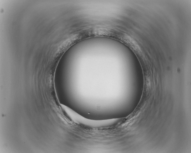 X0000087390401200705042015