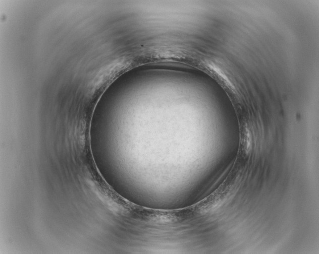 X0000087390402200705042015