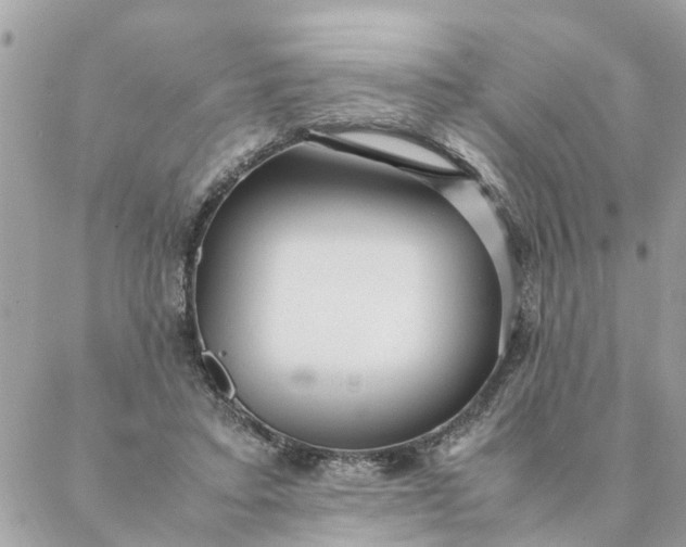 X0000087390403200705042015