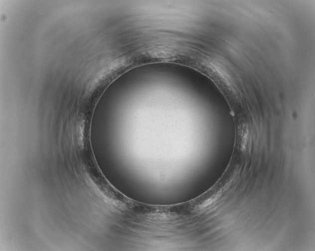 X0000087390404200705042015