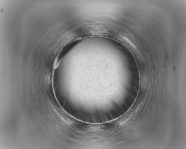 X0000087390405200705042015