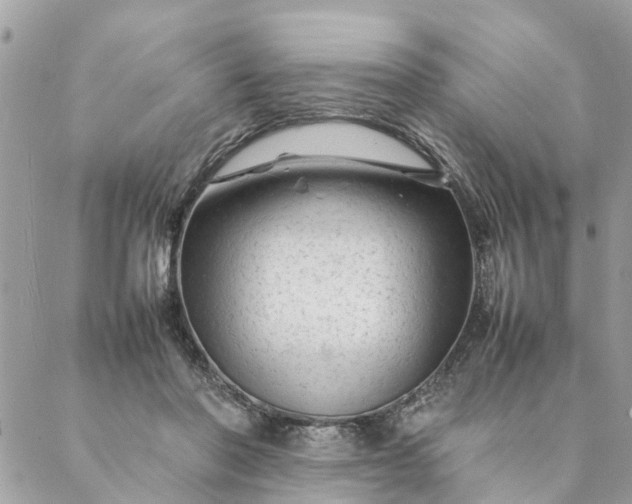 X0000087390406200705042015