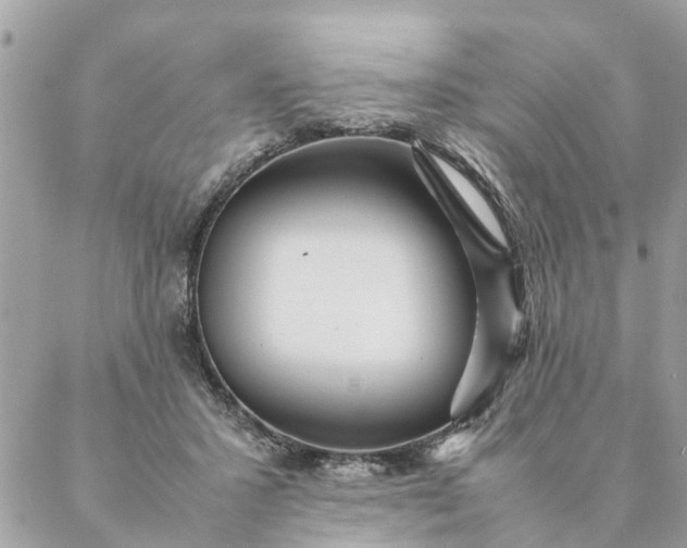 X0000087390407200705042015