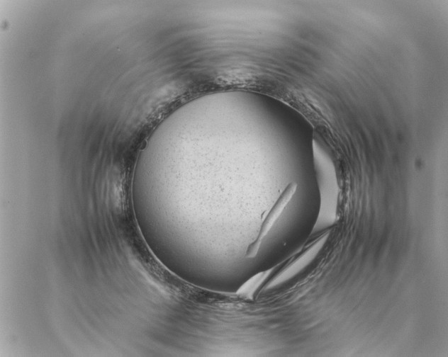 X0000087390408200705042015