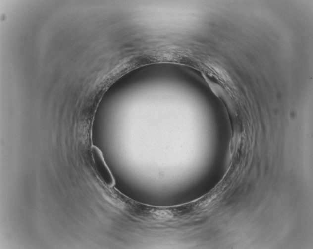 X0000087390409200705042015