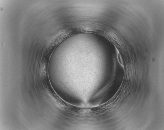 X0000087390410200705042015