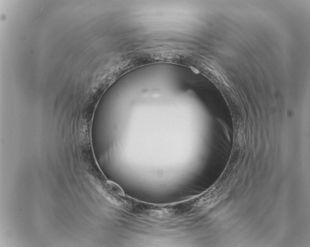 X0000087390411200705042015