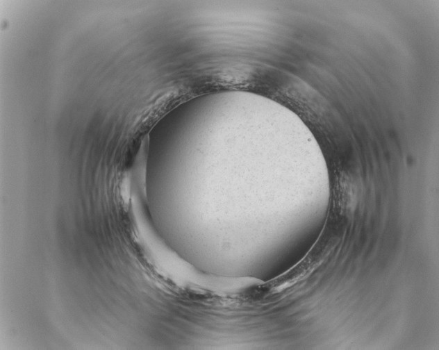 X0000087390412200705042015