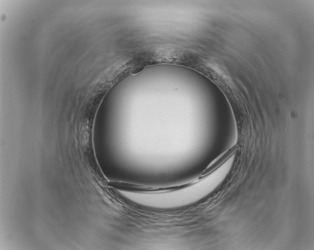 X0000087390413200705042015