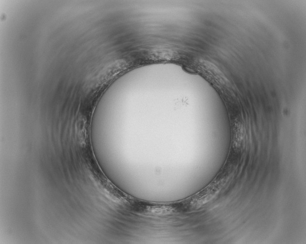 X0000087390414200705042015