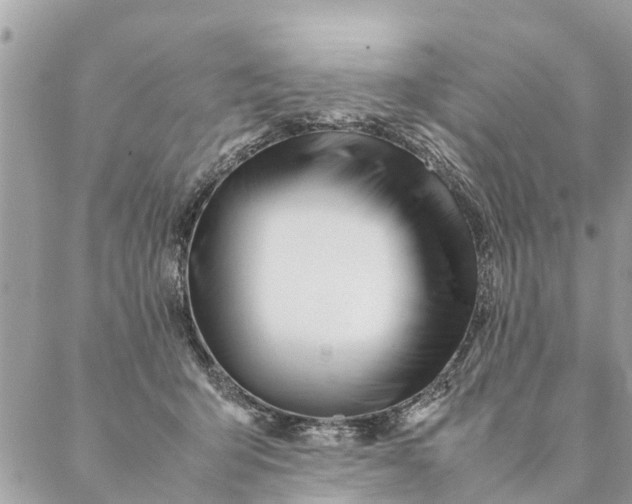 X0000087390415200705042015