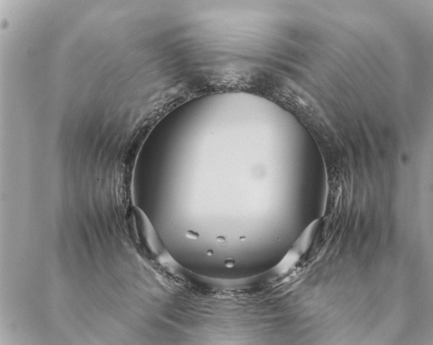 X0000087390416200705042015