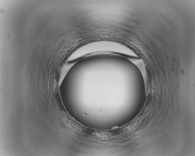 X0000087390417200705042015