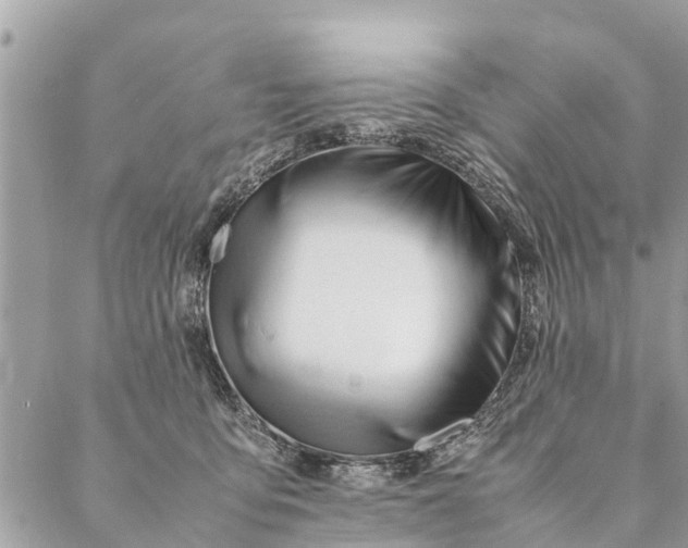 X0000087390419200705042015