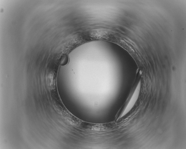 X0000087390420200705042015