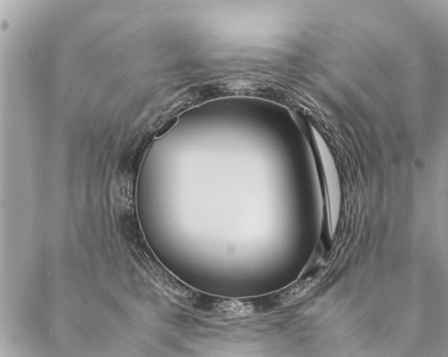 X0000087390421200705042015