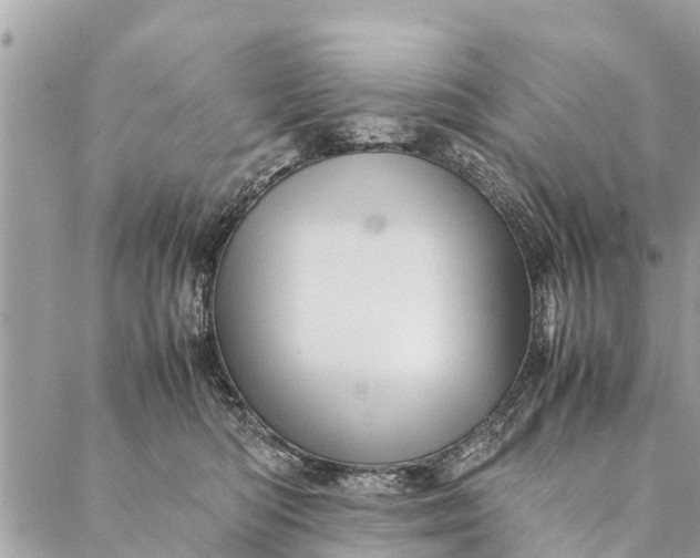 X0000087390422200705042015