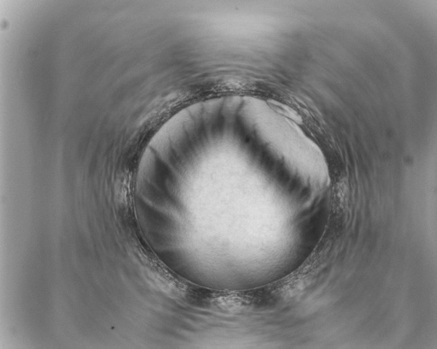 X0000087390423200705042015