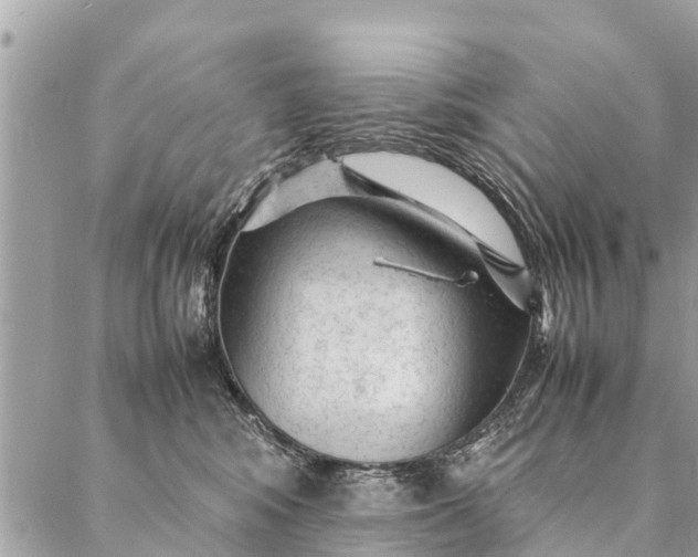 X0000087390424200705042015