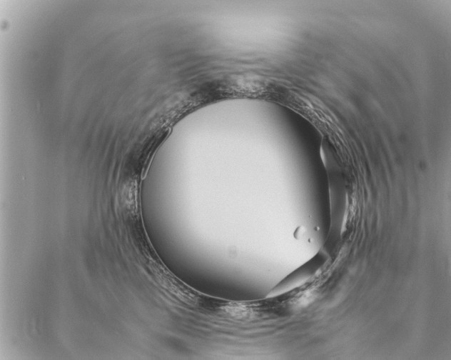 X0000087390425200705042015