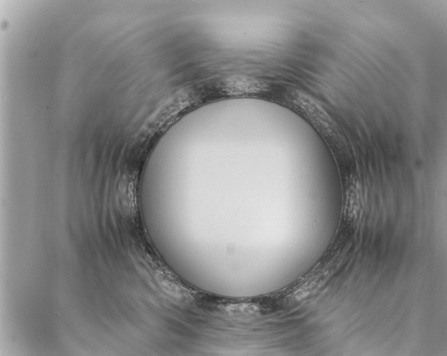 X0000087390426200705042015