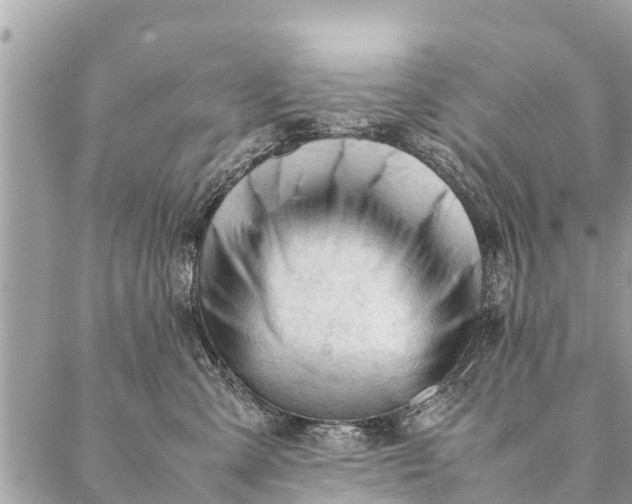 X0000087390427200705042015