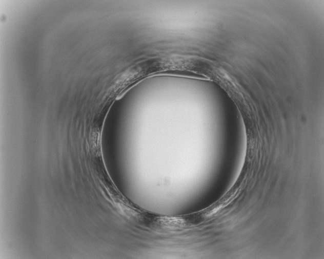 X0000087390429200705042015