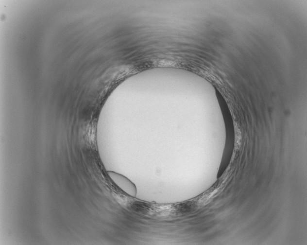 X0000087390431200705042015