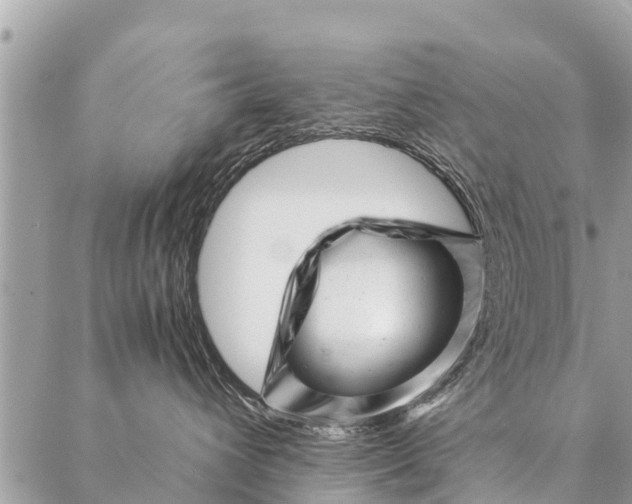 X0000087390432200705042015