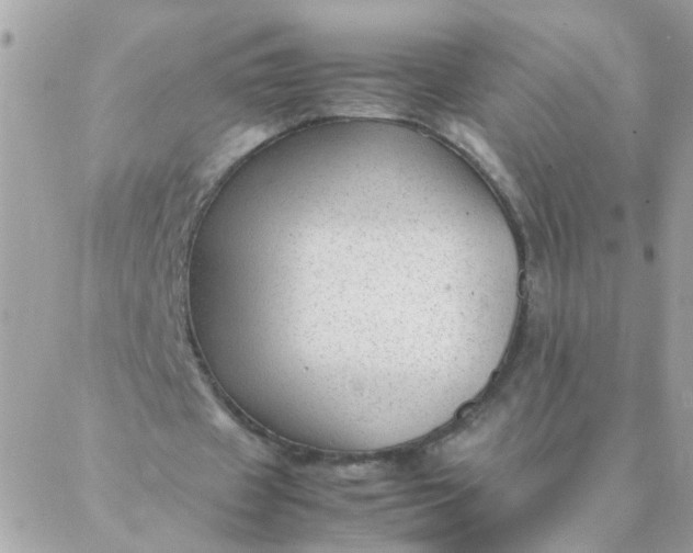 X0000087390433200705042014