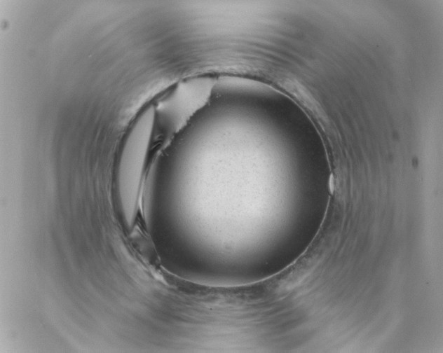 X0000087390434200705042014