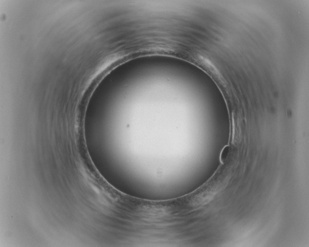 X0000087390435200705042014