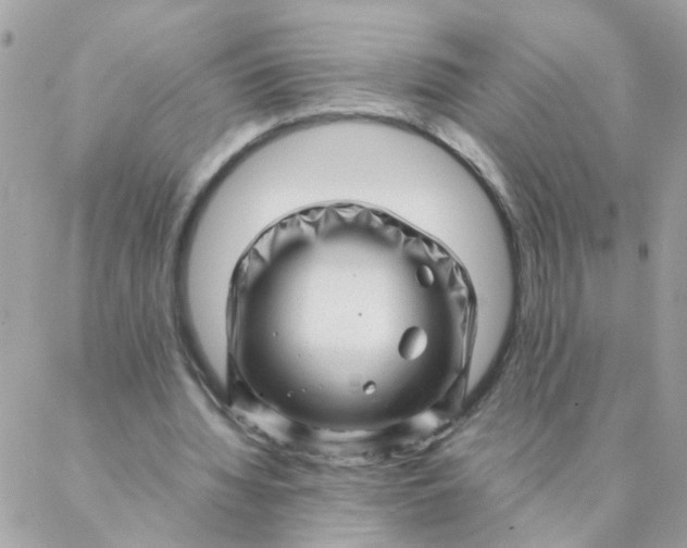 X0000087390436200705042014