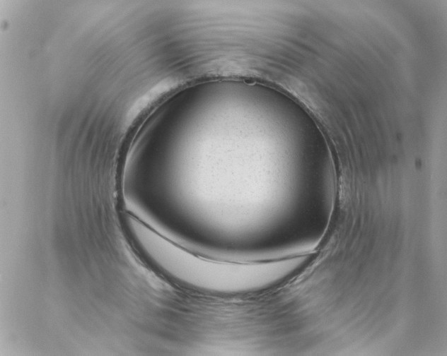 X0000087390438200705042014