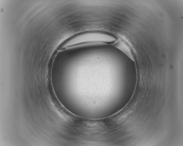 X0000087390439200705042014