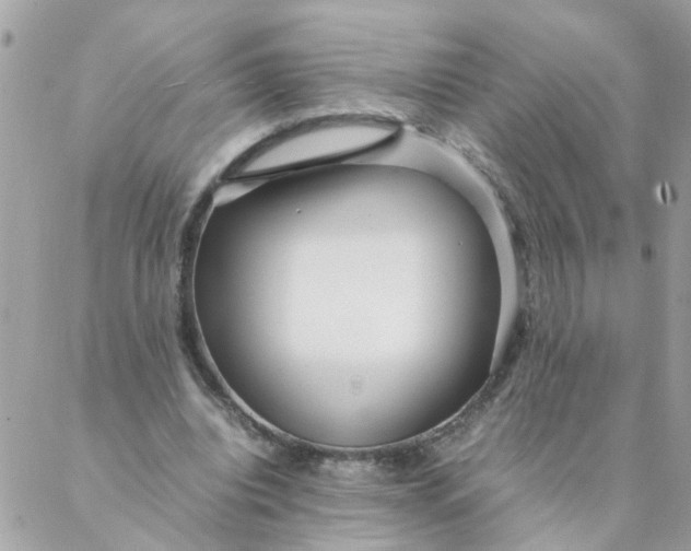 X0000087390440200705042014