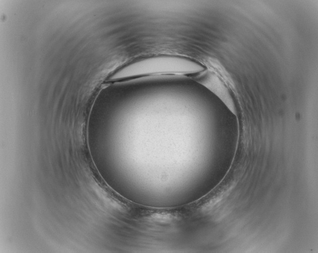 X0000087390441200705042014