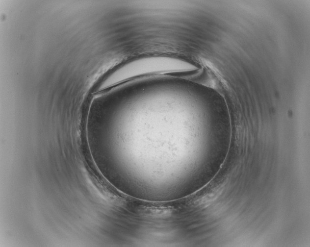 X0000087390443200705042014