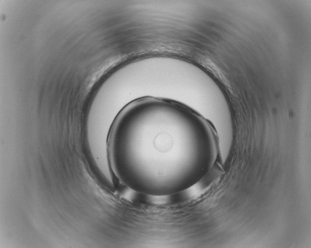 X0000087390444200705042014