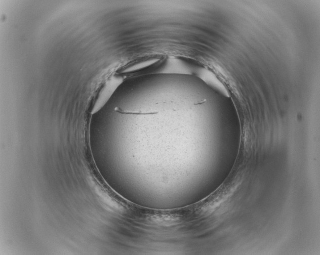 X0000087390445200705042014